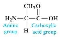 Chapter 8, Problem 140AE, Amino acids are the building blocks for all proteins in our bodies. A structure for the amino acid 