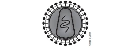 Chapter 1, Problem 20E, Determine the symmetry group of the outer shell of the cross section of the human immunodeficiency 