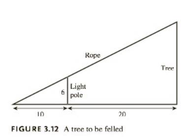 Chapter 3.1, Problem 8E, Felling a Tree A tree service is to fell a tree. A rope is attached to the top of the tree to 