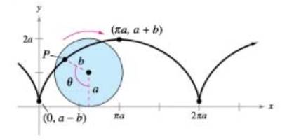 Chapter 10.6, Problem 99E, Curtate Cycloid A wheel of radius a units rolls along a straight line without slipping. The curve 