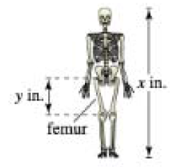 Chapter A.5, Problem 95E, Skills and Applications: Forensics In Exercises 95 and 96, use the following information. The 