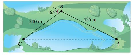 Chapter 3, Problem 39RE, Surveying To approximate the length of a marsh, a surveyor walks 425 meters from point A to point B. 