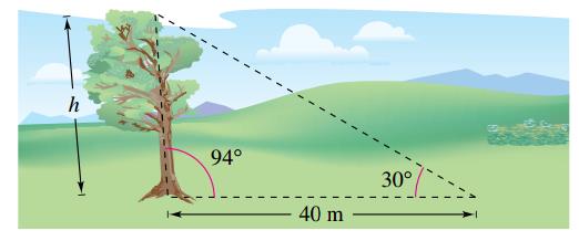 Chapter 3.1, Problem 45E, Height A tree grows at an angle of 4 from the vertical due to prevailing winds. At a point 40 meters 