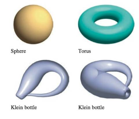Chapter 11.6, Problem 53E, Think About It Three types of classic topological surfaces are shown below. The sphere and torus 