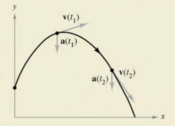 Chapter 12.3, Problem 58E, HOW DO YOU SEE IT? The graph shows the path of a projectile and the velocity and acceleration 