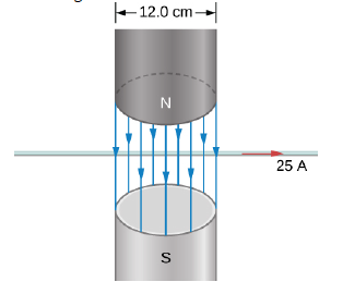 Chapter 11, Problem 82AP, An electromagnet produces a magnetic field of magnitude 1.5 T throughout a cylindrical region of 