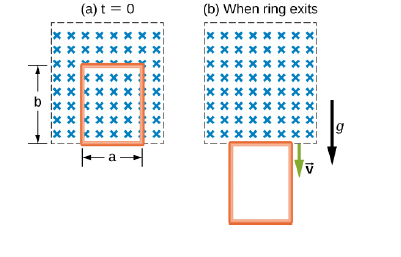 Chapter 14, Problem 86CP, A rectangular copper ring, of mass 100 g and resistance 0.2 1, is in a region of uniform magnetic 